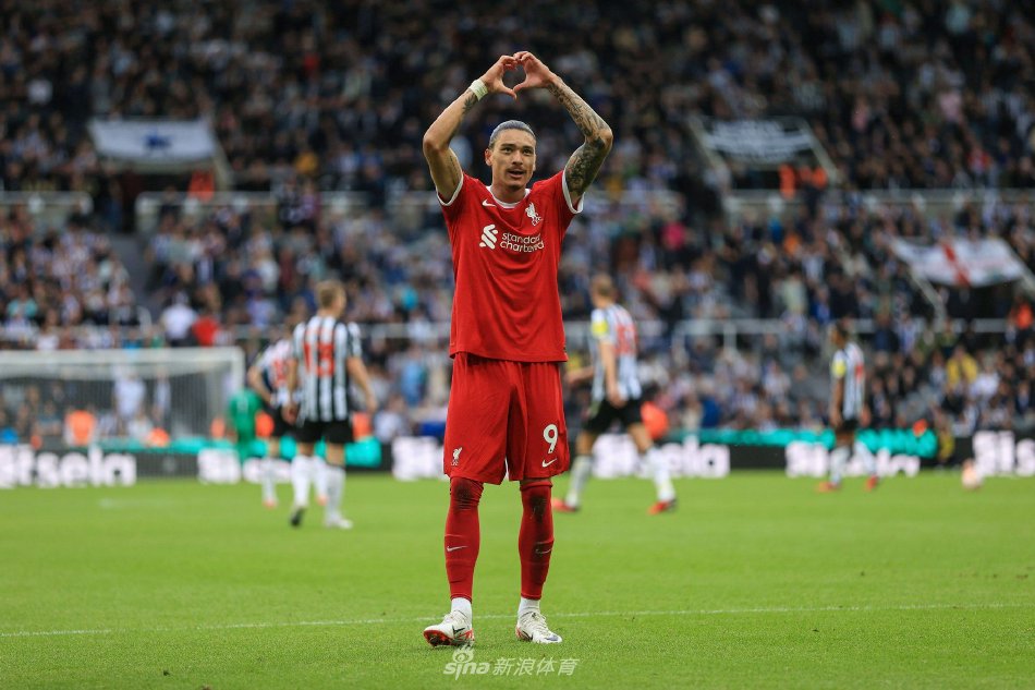 的智慧为球 的智慧为球