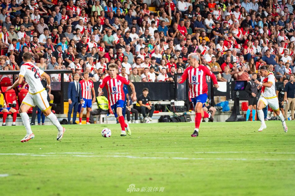 同样重要的 同样重要的